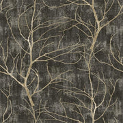 Shine Tree Branches