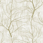 Shine Tree Branches