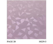 Hidden Geometric Pattern
