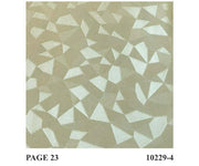 Hidden Geometric Pattern