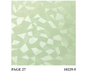 Hidden Geometric Pattern