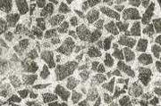 S Nice Natural Wallpaper