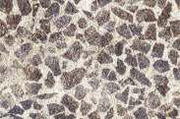 S Nice Natural Wallpaper