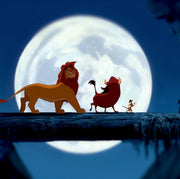 Simba With Friends Self Adhesive Sticker For Wardrobe