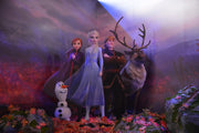 Frozen Anna Poster Self Adhesive Sticker For Wardrobe