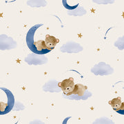 Sleeping On Moon Self Adhesive Sticker For Wardrobe