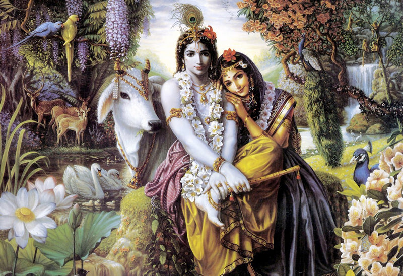 Radha Krishna in Beautiful Forest Wallpaper