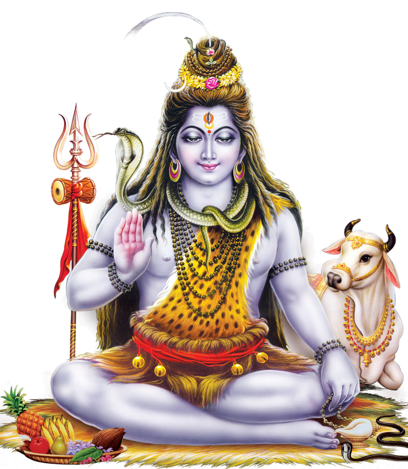 Shiv With Gouri Self Adhesive Sticker Poster