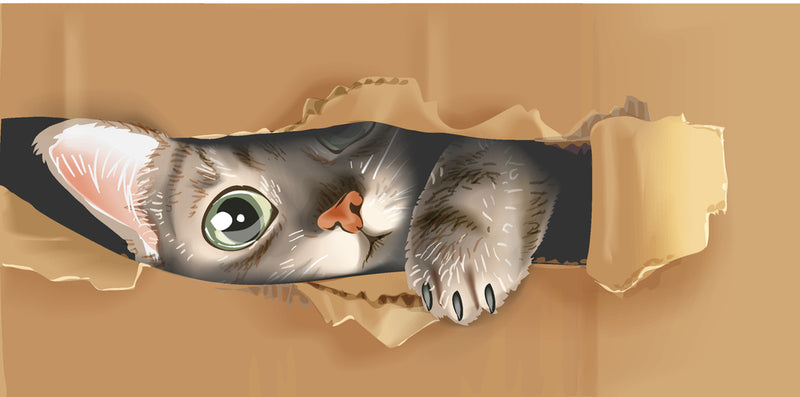 Adorable Kitten Sticker