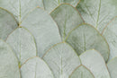 Green Leaf Imprint Sticker