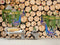 Wooden logs and Peacock Custom wallpaper