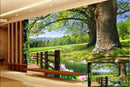 Nature Landscaoe wallpaper for wall