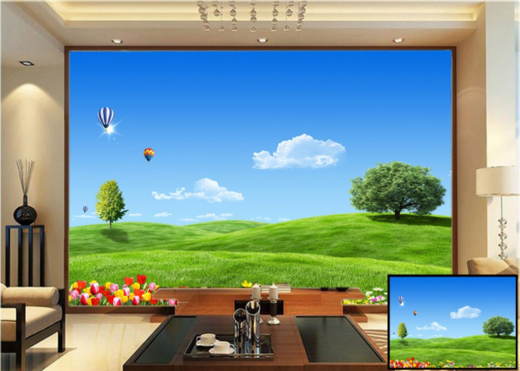 Hot Air Baloon wallpaper for wall