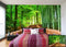 Bamboo Forest wallpaper for wall