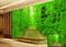 Green Leaves wallpaper for wall
