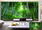 Dense Forest Wallpaper for wall