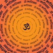 OM Namah Shivay Customised WallCoverings